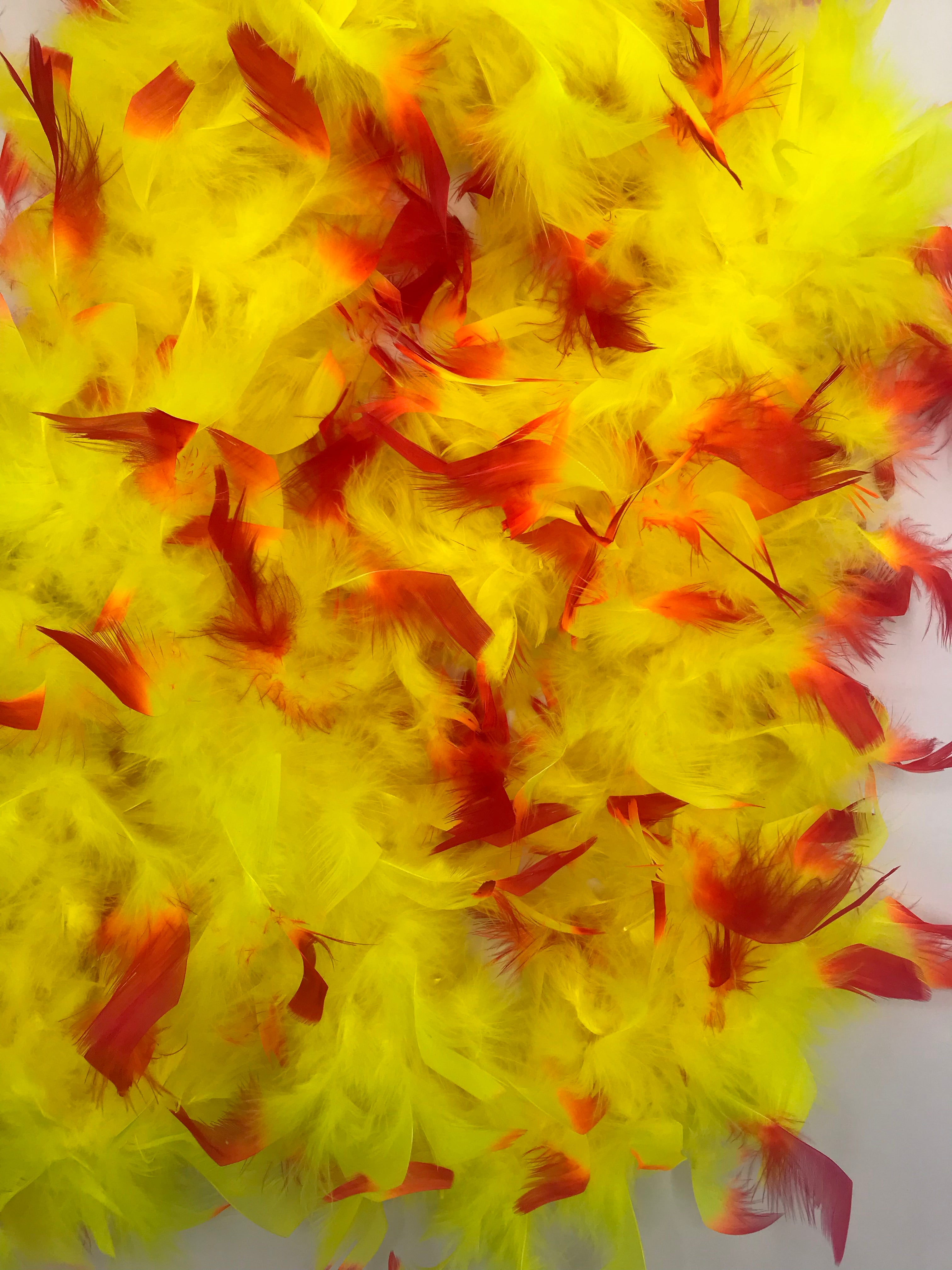 Chandelle Boa ltwt flourescent yellow with red tips