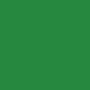 Tricot Organdy fabric swatch — Kelly Green, 54" wide