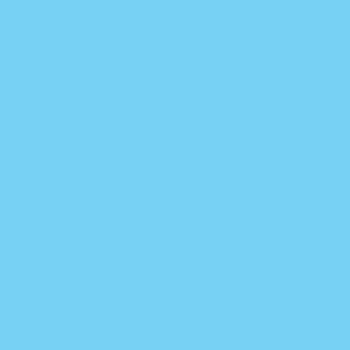 Tricot Organdy fabric swatch — Lt Blue/Copen, 54" wide
