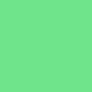 Tricot Organdy fabric swatch — Lt Green/Mint, 54" wide