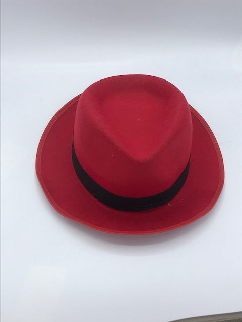 Fedora hat — worn on model, showing fit and brim proportion