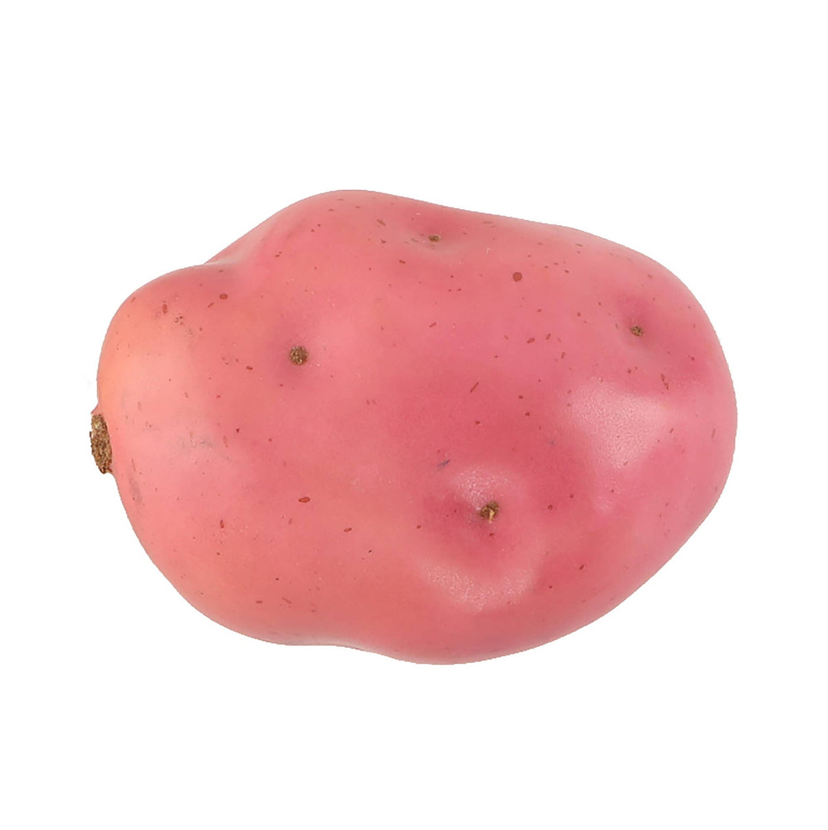Large artificial potato stage prop — yellow, hand-made, weighted, realistic look and feel