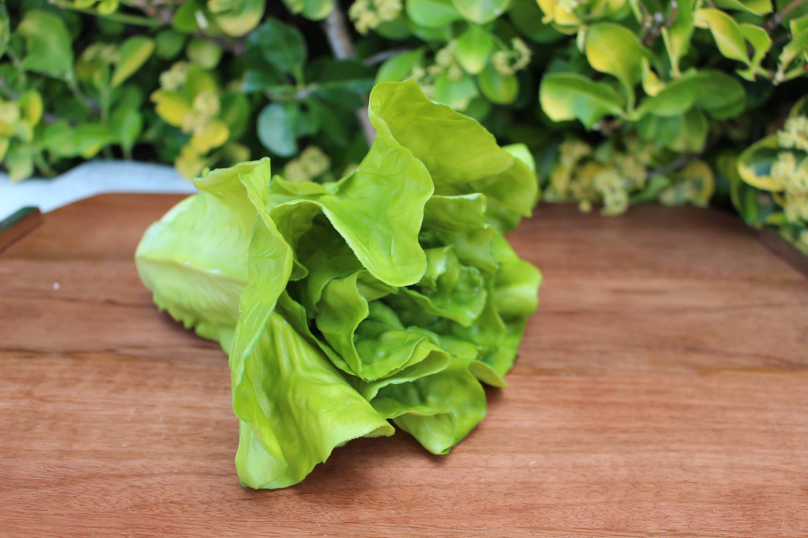 Realistic Faux Romaine Lettuce Decorative Tabletop Object