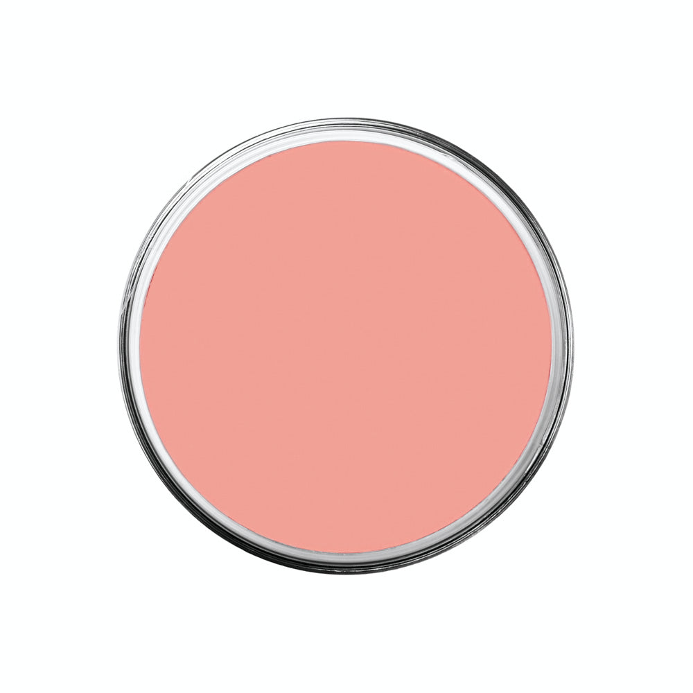 Big Top Auguste Pro Creme Color 1oz./28gm. - FP-10