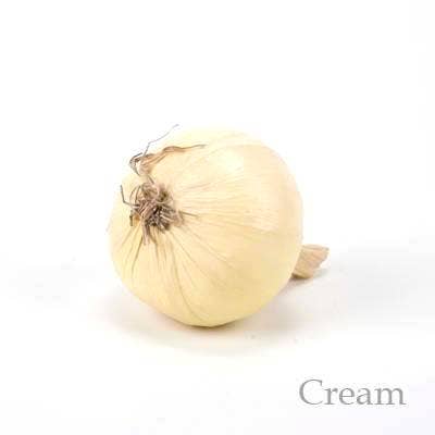 Artificial Faux Onion