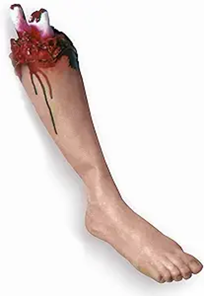 Gory Body Part - Leg