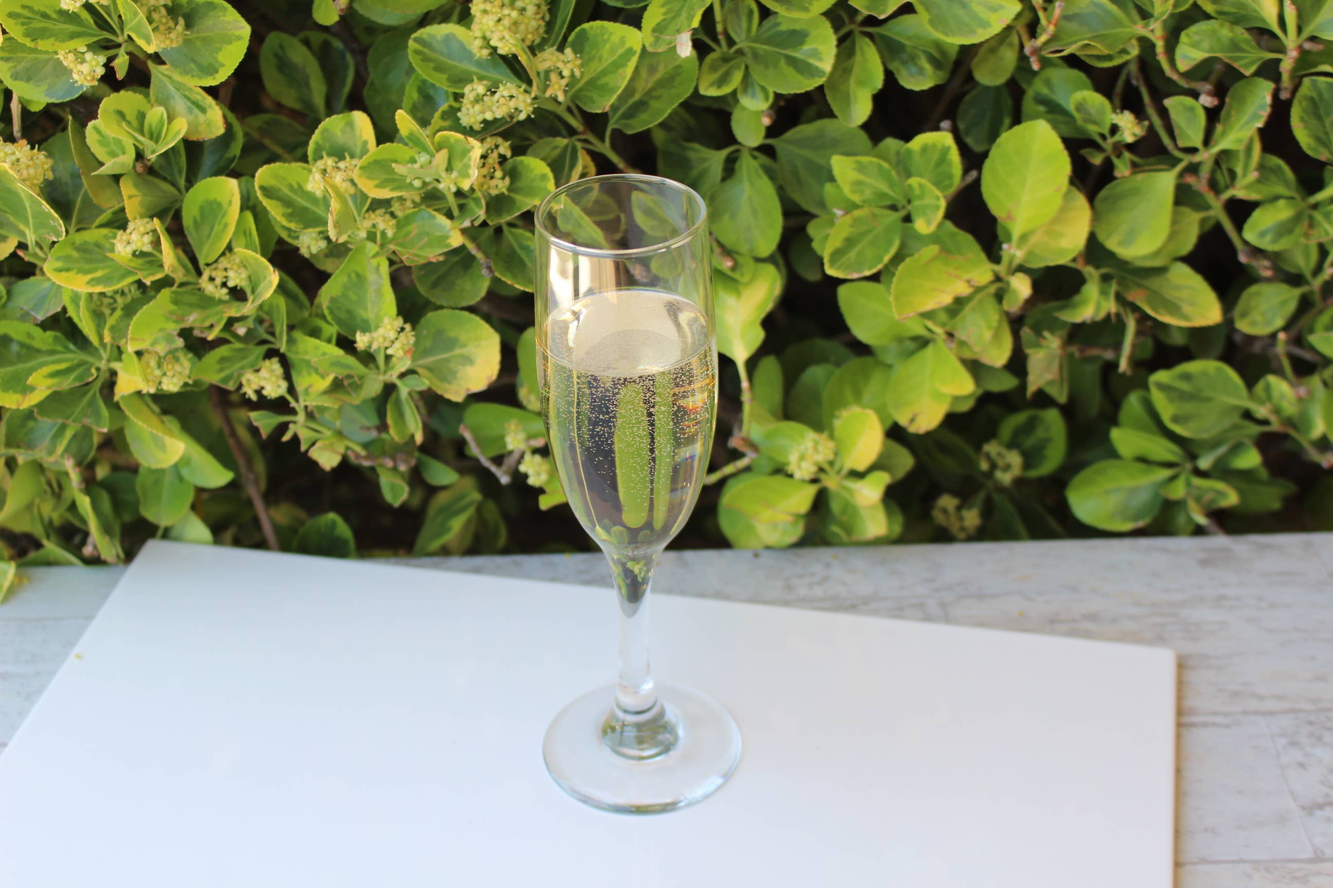 Decorative Tabletop Fake Glass of Champagne