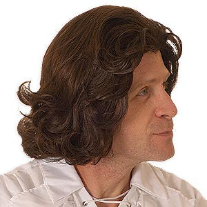 Beethoven Wig