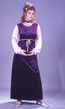 Velvet Harvest Princess Adult Costume