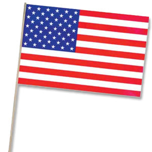 American Flag (11"x17") Plastic