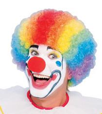 Multi Colored Clown Wig