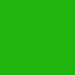Chroma Key Green