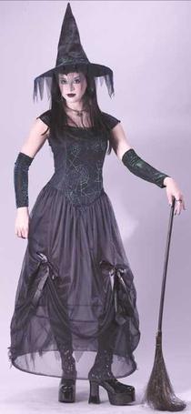 Bewitching Enchantress Adult Costume