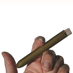 tan cigarette pants KIARA Fango cigarette pants tan cigarette pants KIARA Fango cigarette pants