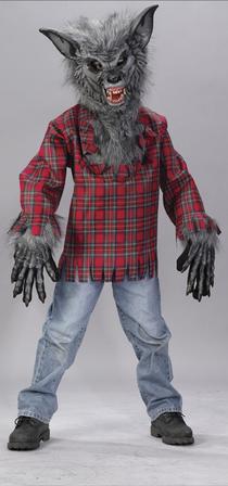 Silver Werewolf Child Costume