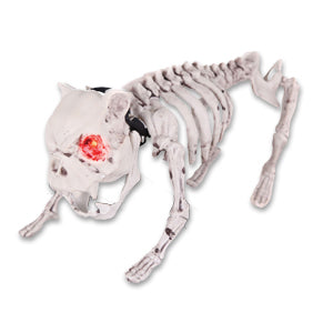 Barking Dog Skeleton