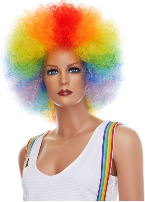 Clown / Afro Wig