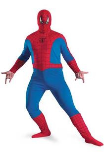 Plus Size Spiderman Costume