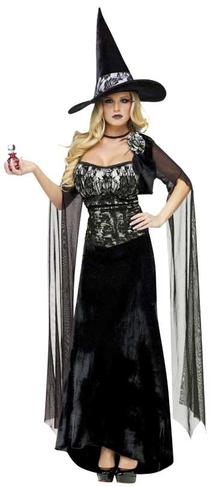 Love Potion Witch  Adult Costume