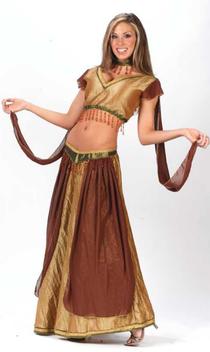 Exotic Belly Dancer Adult Costume