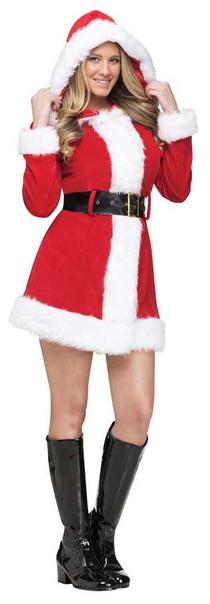 Sexy Merry Miss Santa Costume