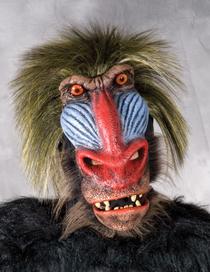 Baboon Moving Mouth Mask