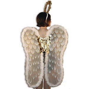 Angel Wings with Headpiece