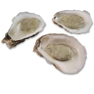 Oyster on The Half Shell