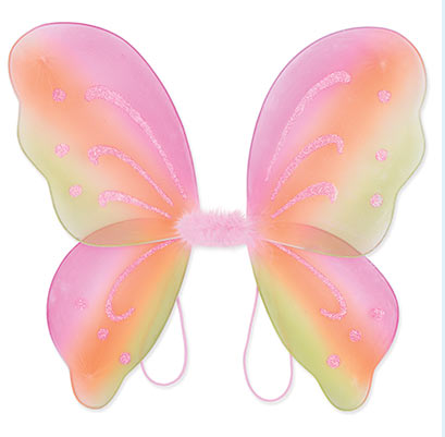 Fairy Wings (Child)